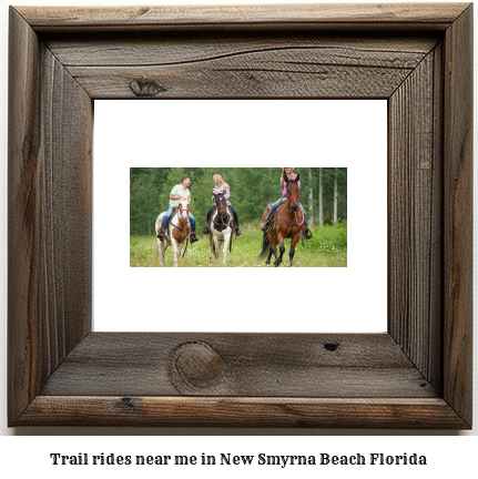 trail rides near me in New Smyrna Beach, Florida